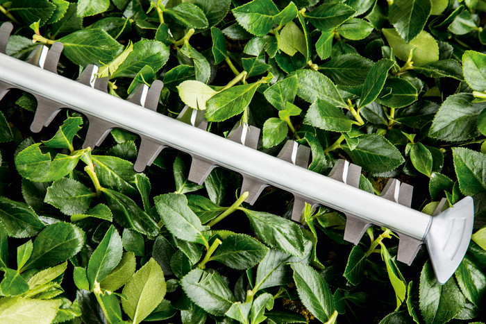 Bosch AdvancedRotak 40-650 + Bosch Universal HedgeCut 50 produit à l'usage