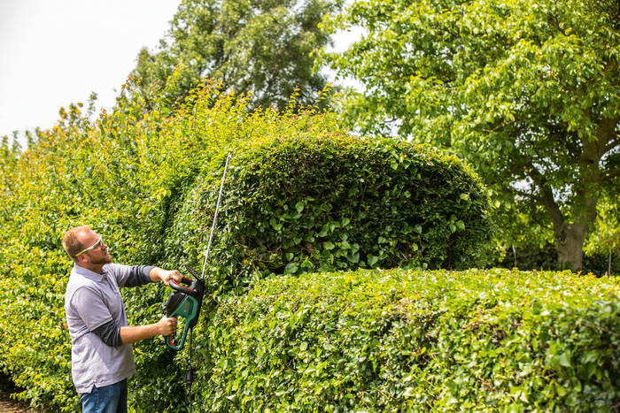 Bosch Advanced Hedgecut 65 produit à l'usage