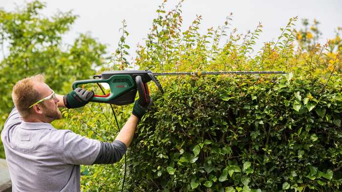 Bosch Advanced Hedgecut 70 produit à l'usage