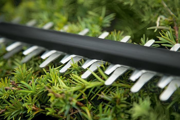 Bosch Universal Hedgecut 18v-55 product in use
