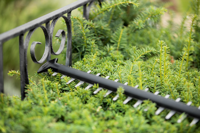 Bosch UniversalHedgeCut 18v-50 product in use