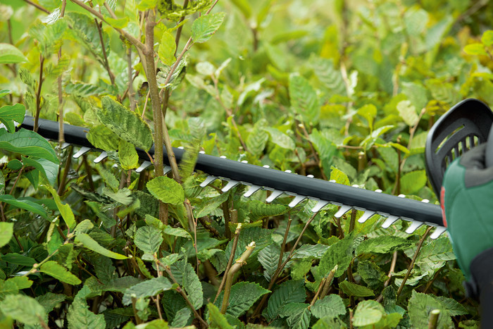 Bosch UniversalHedgeCut 18v-50 product in use