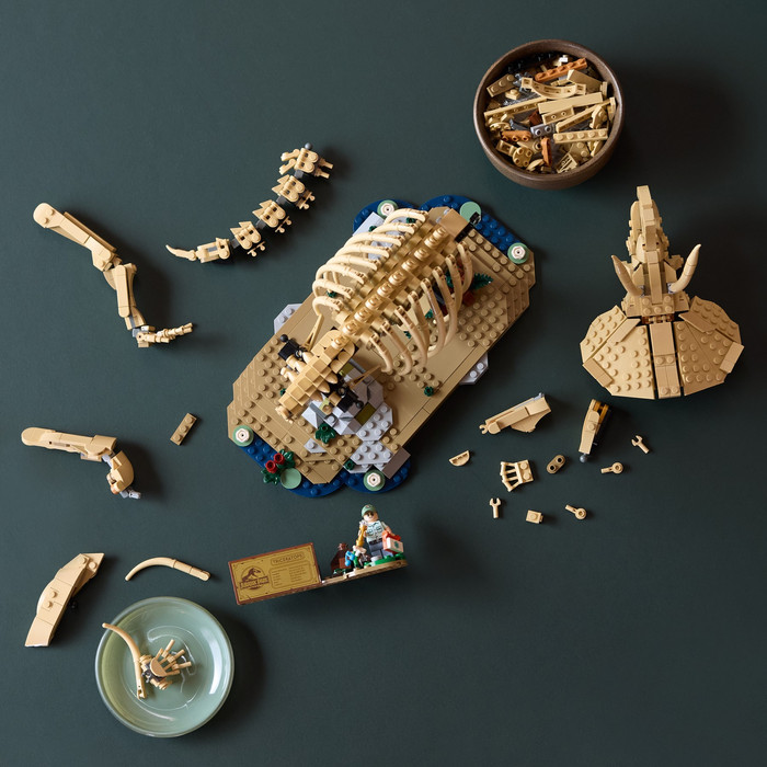LEGO Jurassic World Dinosaurusfossielen: Triceratops 77985 product in gebruik