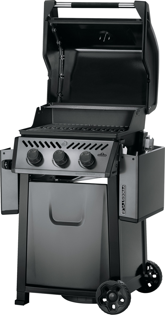 Napoleon Freestyle 365 intérieur