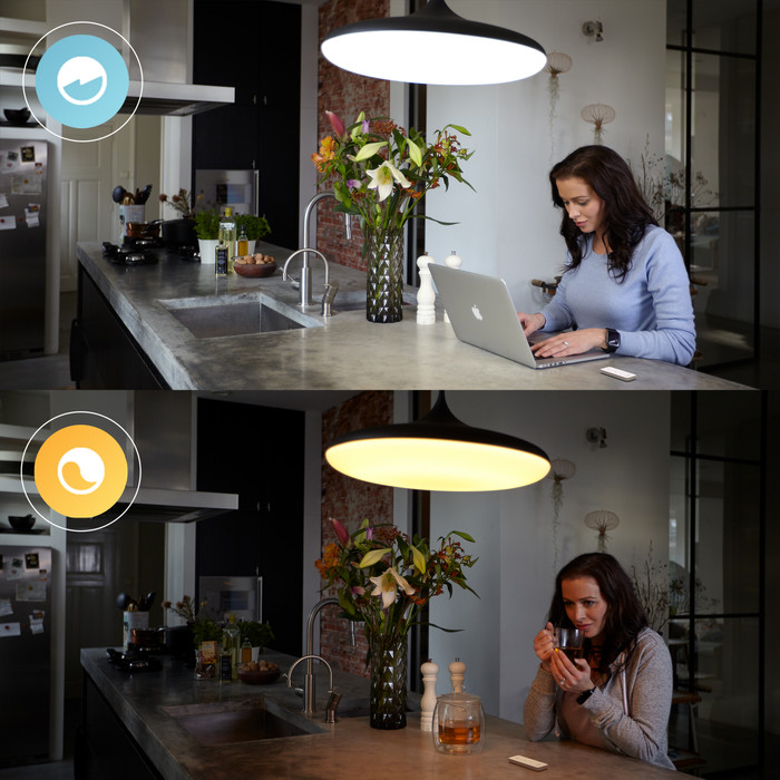 Philips Hue Gradient Signe White and Color Floor Lamp Black + Dimmer visual supplier