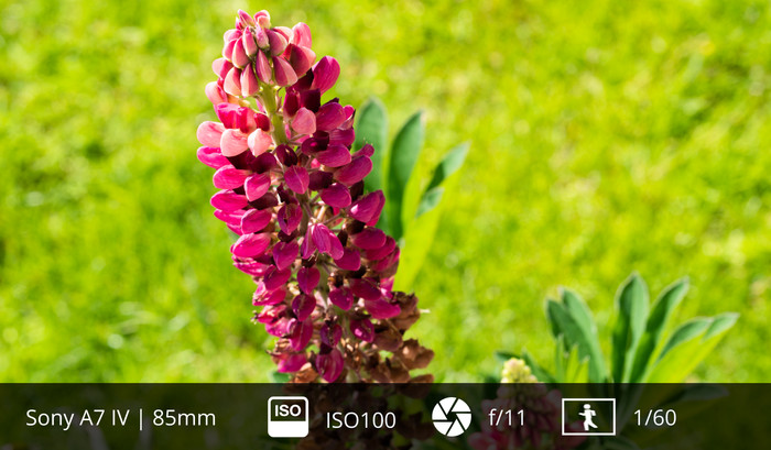 Sony FE 85mm f/1.8 visual Coolblue 1