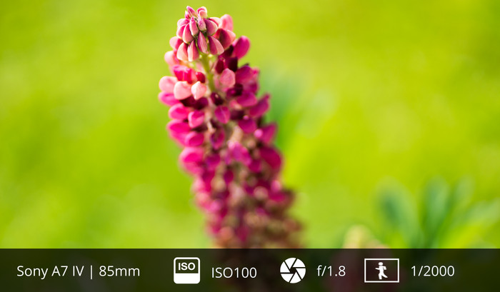 Sony FE 85mm f/1.8 visual Coolblue 1