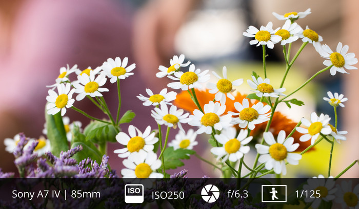 Sony FE 85mm f/1.8 visual Coolblue 1