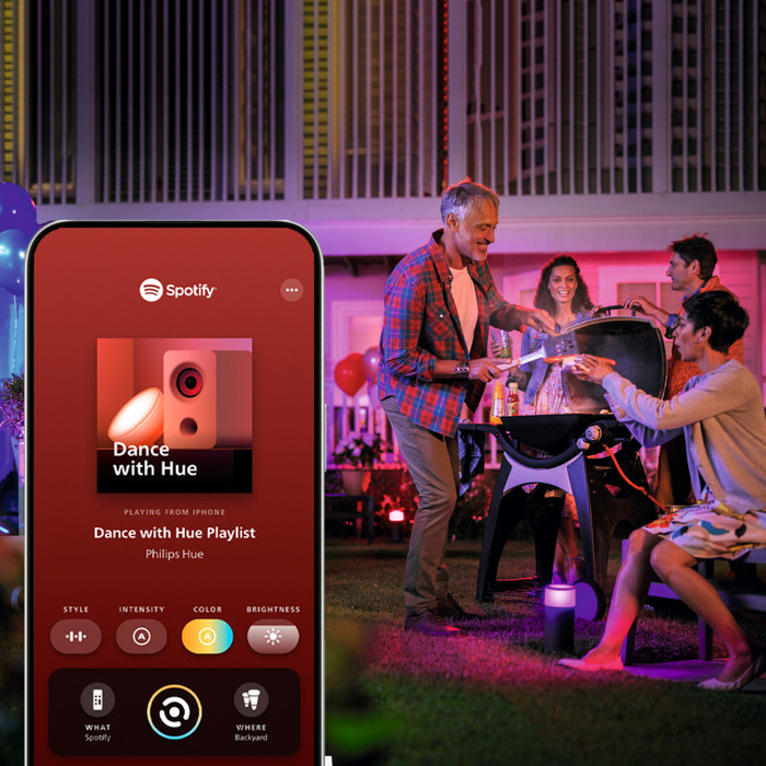 Philips Hue Festavia Guirlande Lumineuse - 9 Mètres - Extension visuel fournisseur