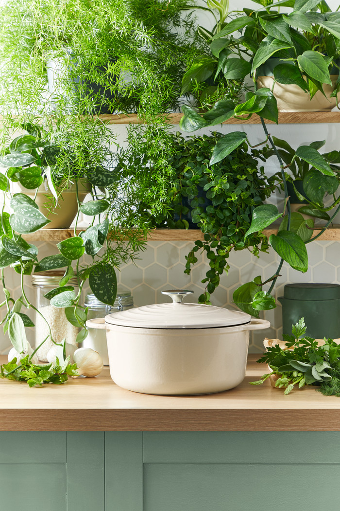 Tefal LOV Braadpan 25 cm Beige null