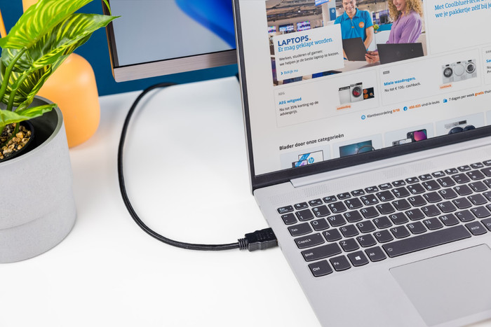 BlueBuilt Câble HDMI vers DVI-D Dual Link 2 Mètres null