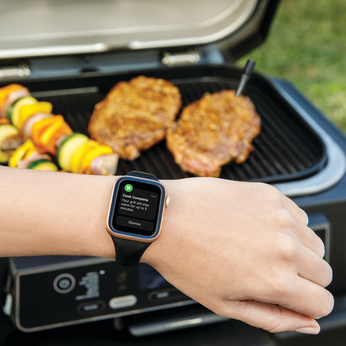 Ninja ProChef WP100EU product in gebruik