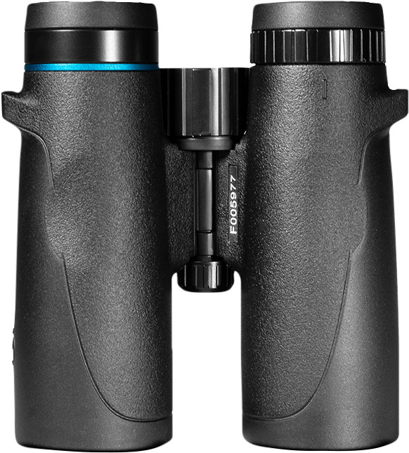 Vogelbescherming Buizerd 8x42 dessous