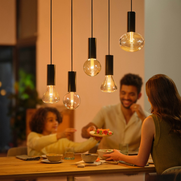 Philips Hue Lightguide Cord - Black - E27 product in use