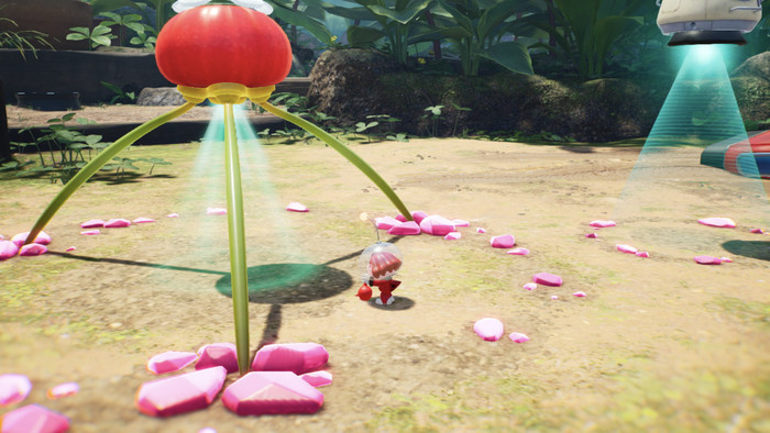 Pikmin 4 Nintendo Switch produit à l'usage