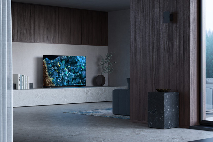 Sony XR-55A80L (2023) + Sony HT-A3000 product in use