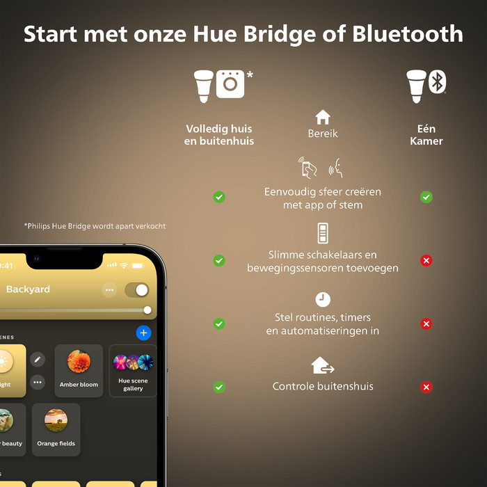 Philips Hue Welcome Verstraler White + buitensensor visual leverancier