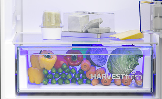 Beko B5RCNE366HG HarvestFresh detail