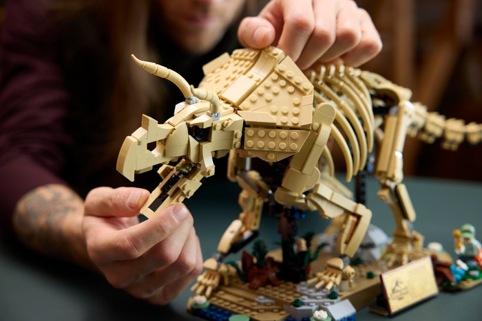 LEGO Jurassic World Dinosaurusfossielen: Triceratops 77985 product in gebruik