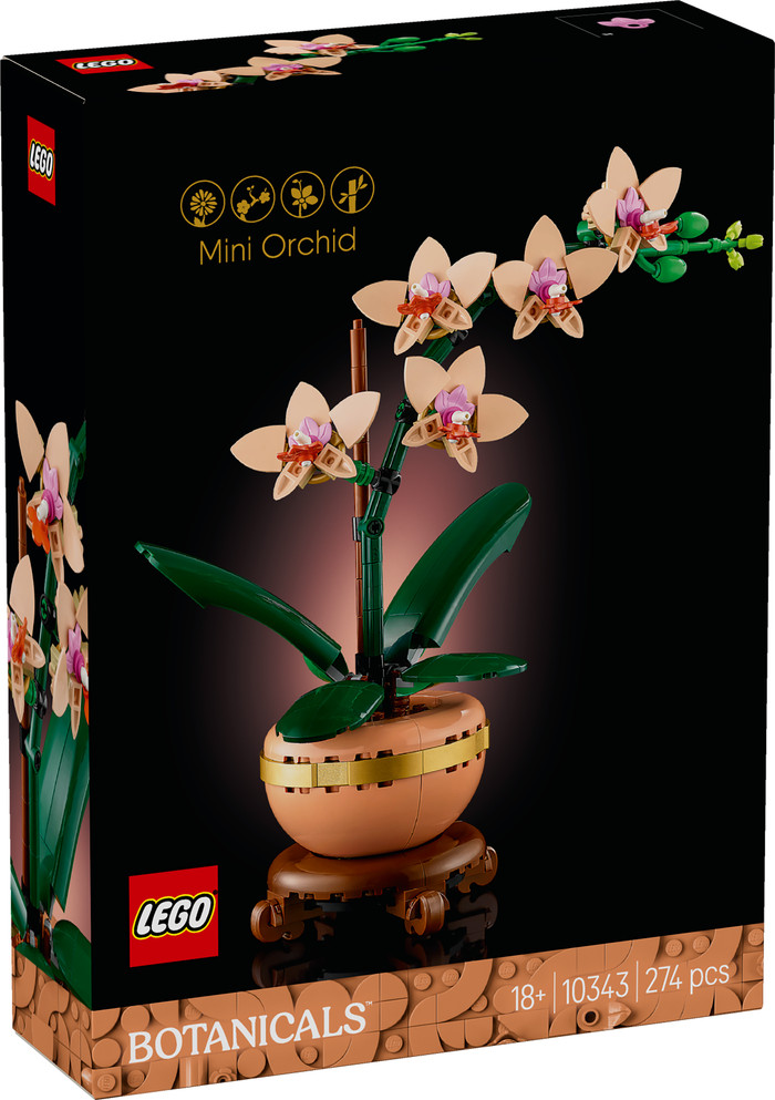 LEGO Botanicals - L'Orchidée Miniature 10343 emballage