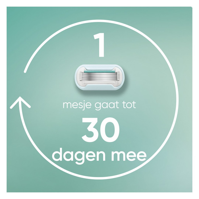 Gillette Venus Deluxe Smooth Sensitive Replacement Blades (10 units) visual supplier