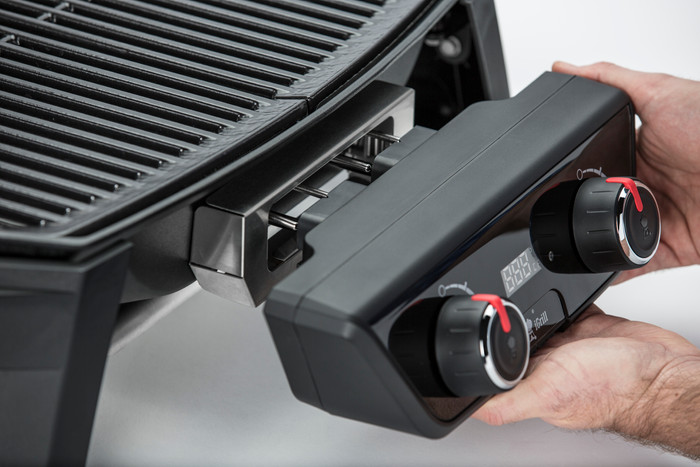 Weber Pulse 2000 null