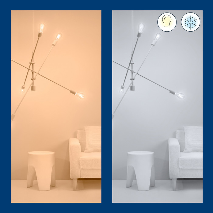 WiZ Ampoule Edison à Filament Lot de 2 - Lumière Blanche Chaude à Lumière Blanche Froide - E27 visuel fournisseur