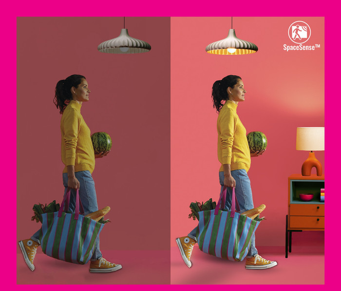 WiZ Ampoule Edison à Filament Lot de 2 - Lumière Blanche Chaude à Lumière Blanche Froide - E27 visuel fournisseur