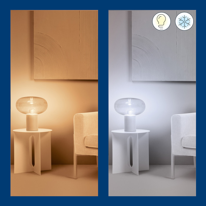 WiZ Ampoule à Filament Lot de 2 - Lumière Blanche Chaude à Lumière Blanche Froide - E27 visuel fournisseur
