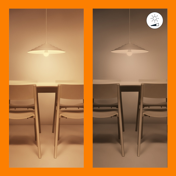 WiZ Ampoule à Filament Lot de 2 - Lumière Blanche Chaude à Lumière Blanche Froide - E27 visuel fournisseur