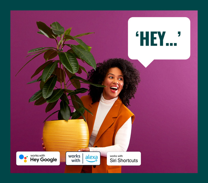 WiZ Ampoule à Filament Lot de 2 - Lumière Blanche Chaude à Lumière Blanche Froide - E27 visuel fournisseur