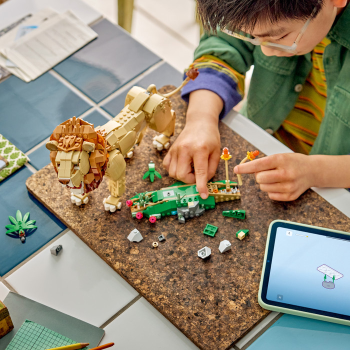 LEGO Creator 3-in-1 Wilde dieren: Majestueuze Leeuw 31386 product in gebruik
