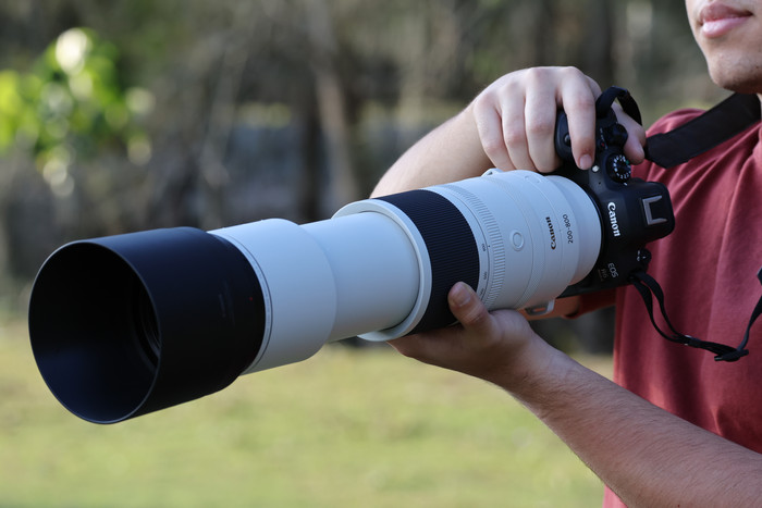 Canon RF 200-800mm f/6.3-9 IS USM product in use