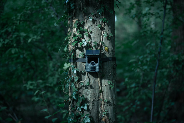 Camouflage EZ-Solar product in use