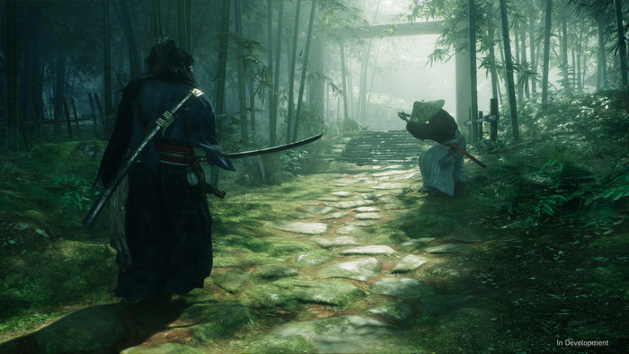 Rise of the Ronin PS5 produit à l'usage