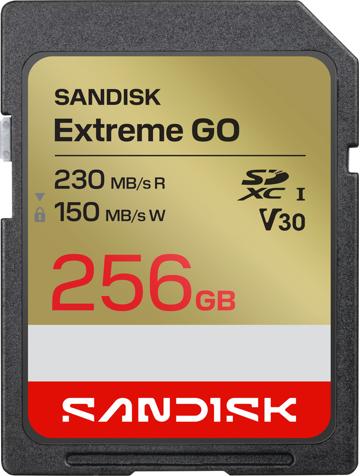 Sandisk Extreme GO SDXC 256 Go 240 Mo/s Main Image