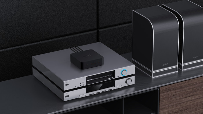 WiiM Pro visual leverancier