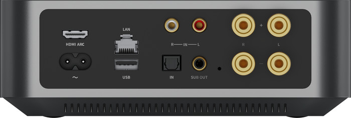 WiiM Amp Gris arrière