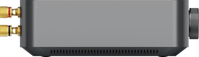 WiiM Amp Gris côté gauche