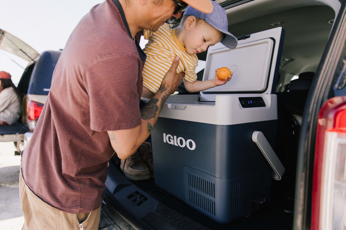 Igloo ICF80DZ product in use