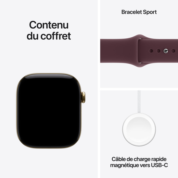 Apple Watch Series 12 Cellular 46 mm Titane Or Bracelet Sport M/L visuel fournisseur