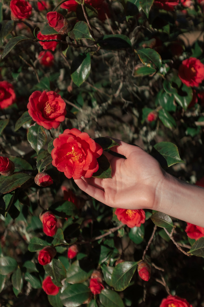 Polaroid Hi-Print 2x3 Photo Paper (60 units) visual supplier