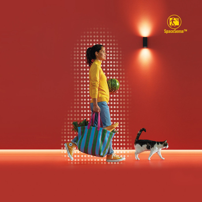 WiZ Plafondlamp SuperSlim - Zwart - Gekleurd en Wit licht visual leverancier