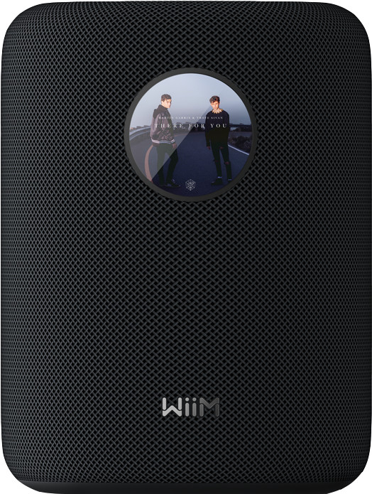 WiiM Sound Zwart Main Image