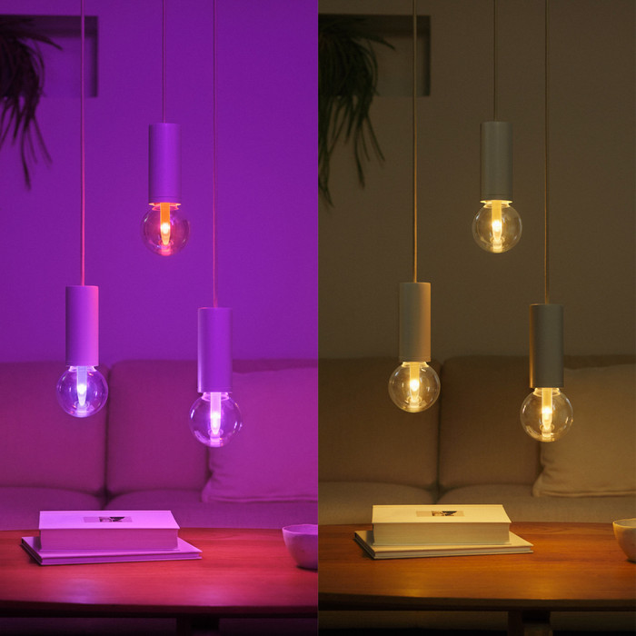 Philips Hue Lightguide Globe White and Color E27 visual leverancier