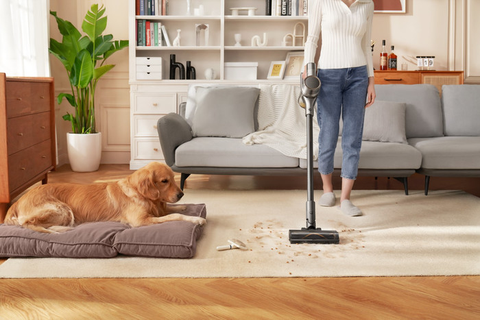 Dreame R20 product in gebruik