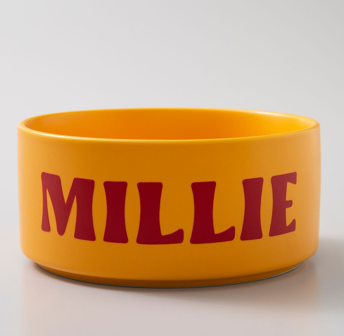 Cricut Explore 4 Starters Bundle product in use