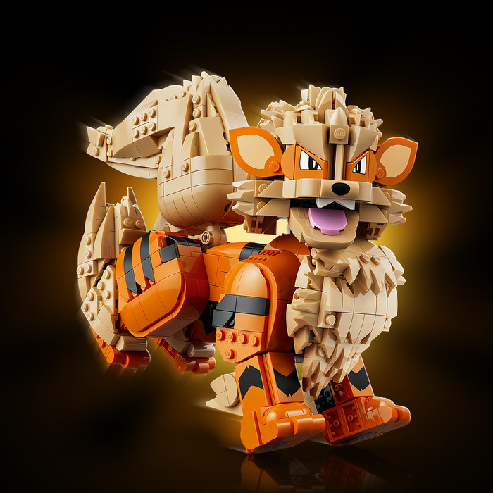 LEGO Pokémon Arcanine 72160 product in gebruik