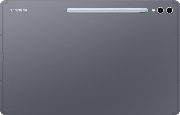 Samsung Galaxy Tab S10 Ultra 14.6 inches 256GB WiFi Gray + Charger Pack back
