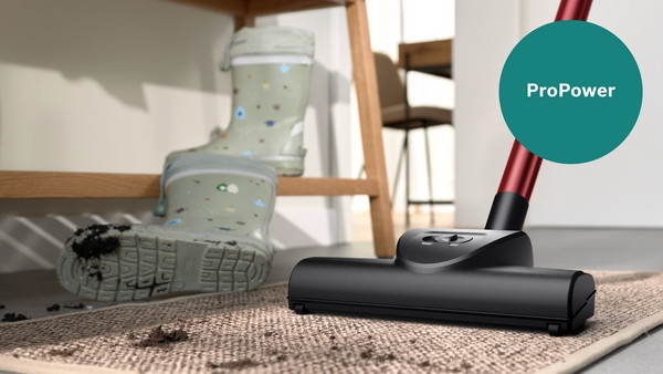 Bosch BGB41POW1 ProPower détail